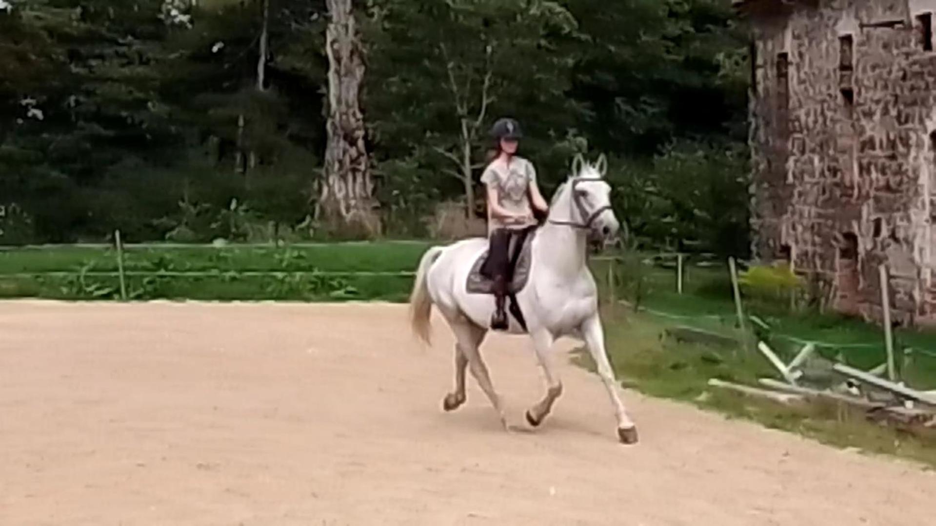 Studniska Country Estate 빌라 외부 사진