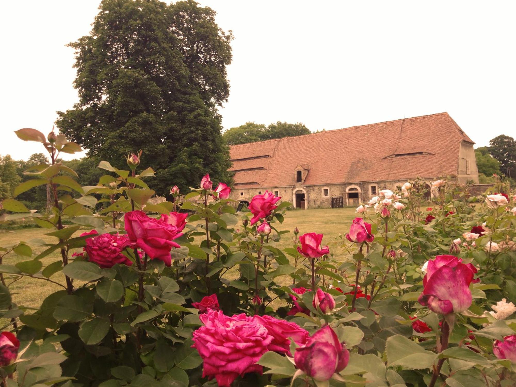 Studniska Country Estate 빌라 외부 사진