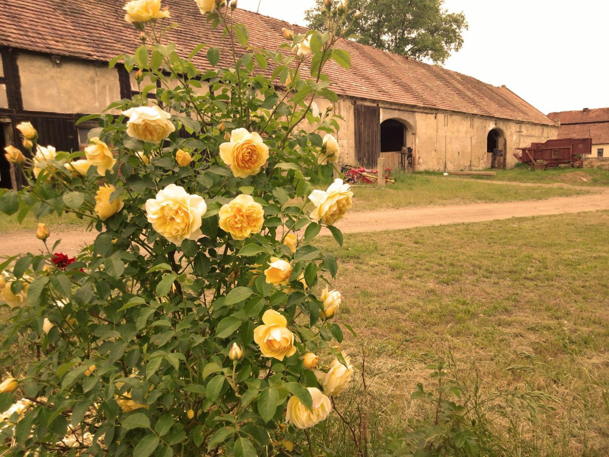 Studniska Country Estate 빌라 외부 사진