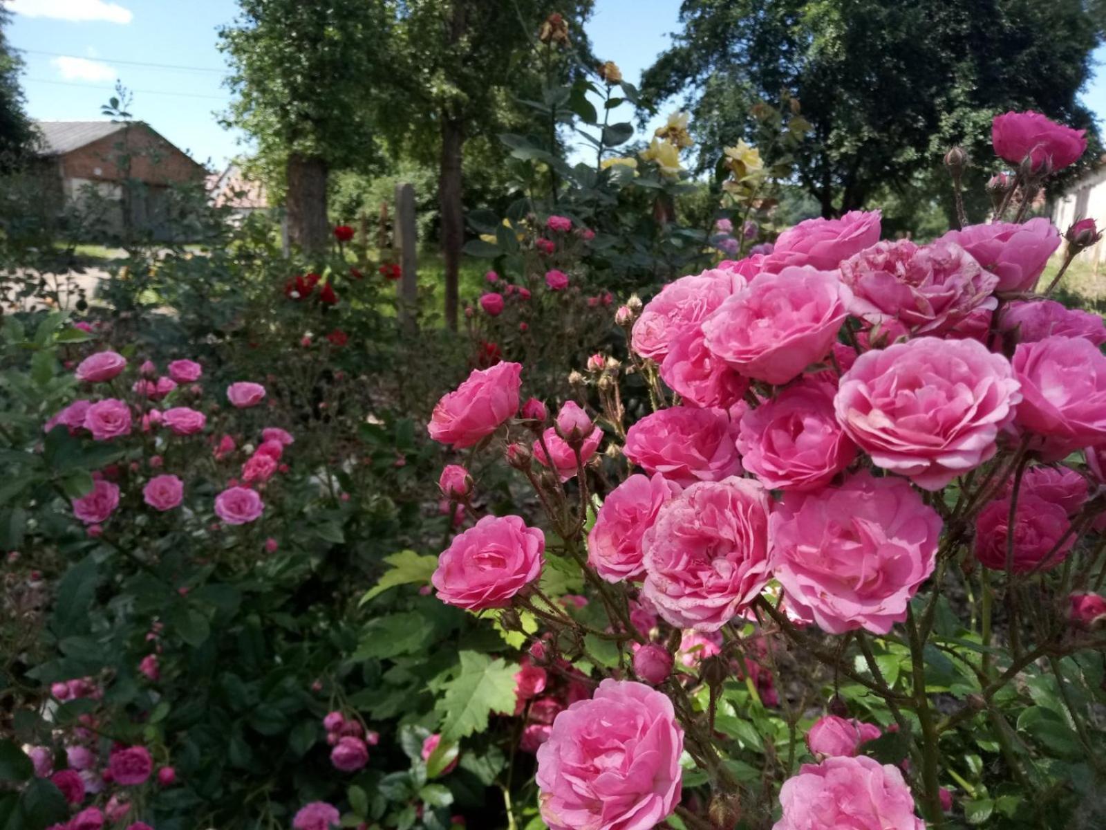 Studniska Country Estate 빌라 외부 사진