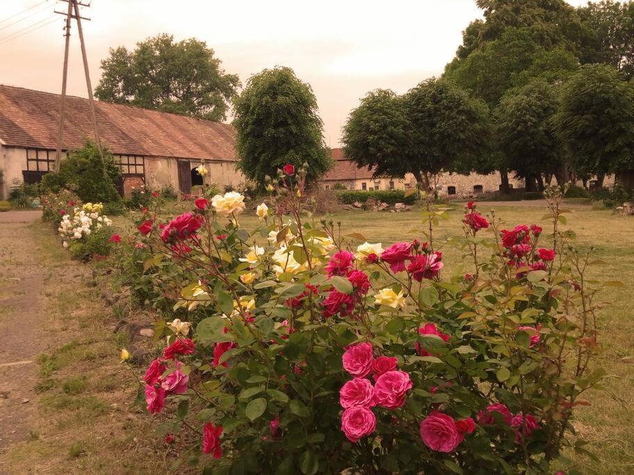 Studniska Country Estate 빌라 외부 사진