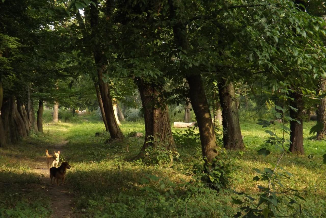 Studniska Country Estate 빌라 외부 사진